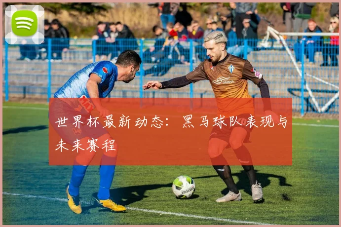 世界杯最新动态：黑马球队表现与未来赛程