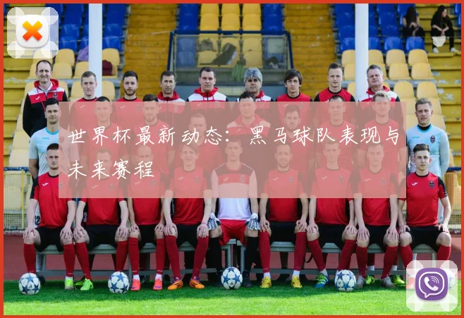 世界杯最新动态:黑马球队表现与未来赛程