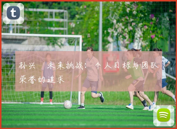 孙兴慜未来挑战：个人目标与团队荣誉的追求