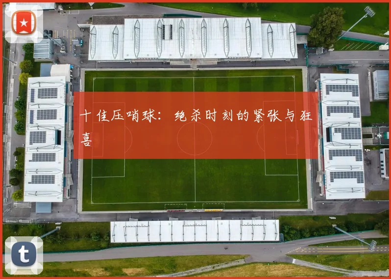 十佳压哨球：绝杀时刻的紧张与狂喜